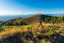 2020
 Hero