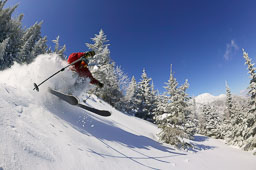 Skiing
 Hero